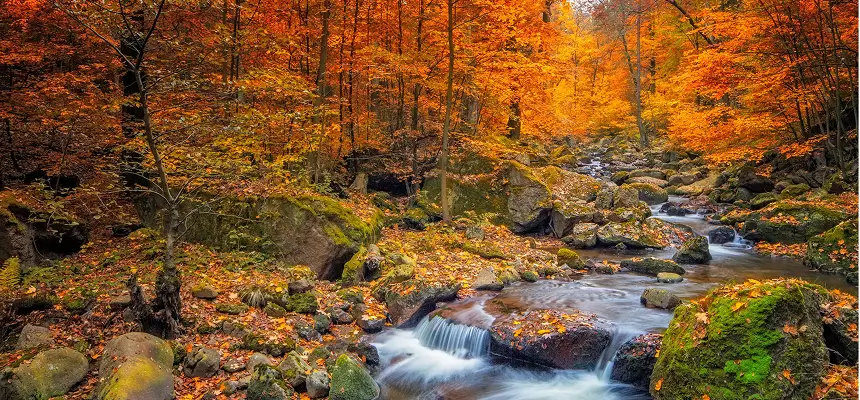 READY FOR A CHANGE copy 1